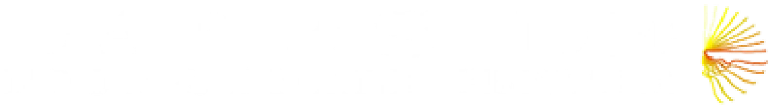 Lakeside Foot and Ankle Logo